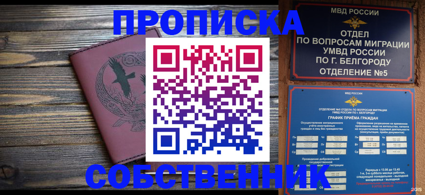 временная регистрация для всех в Щёлково